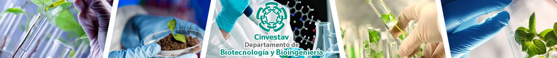 Cinvestav