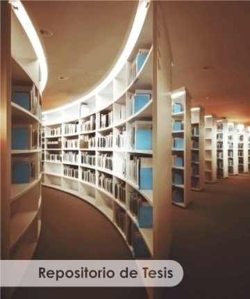 Repositorio de Tesis