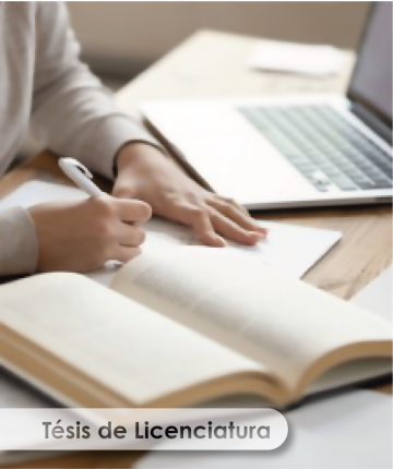 Tesis de Licenciatura