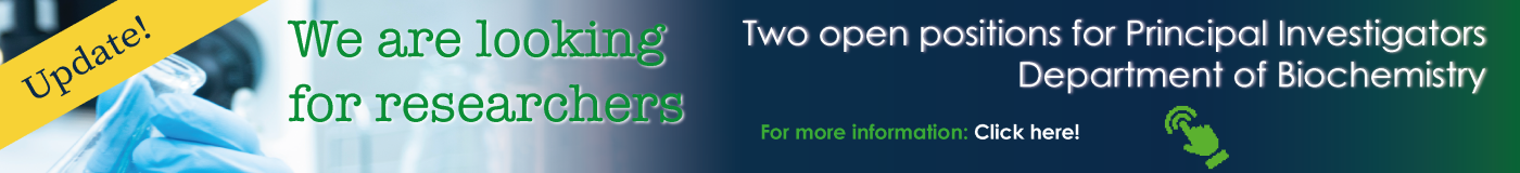 Open Positions